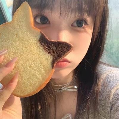 14个摄像头
