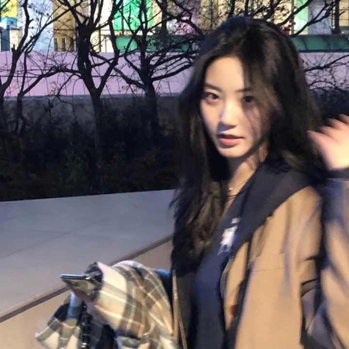银杏床